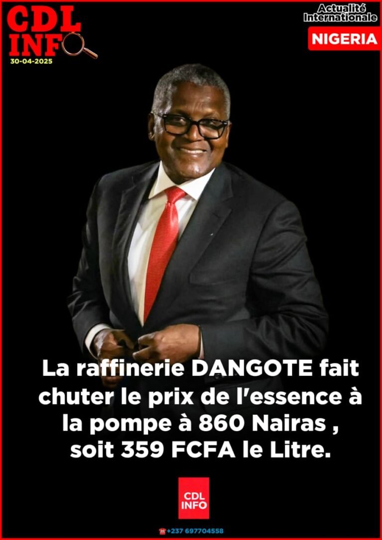 Aliko Dangote, un catalyseur de protectionnisme économique africain